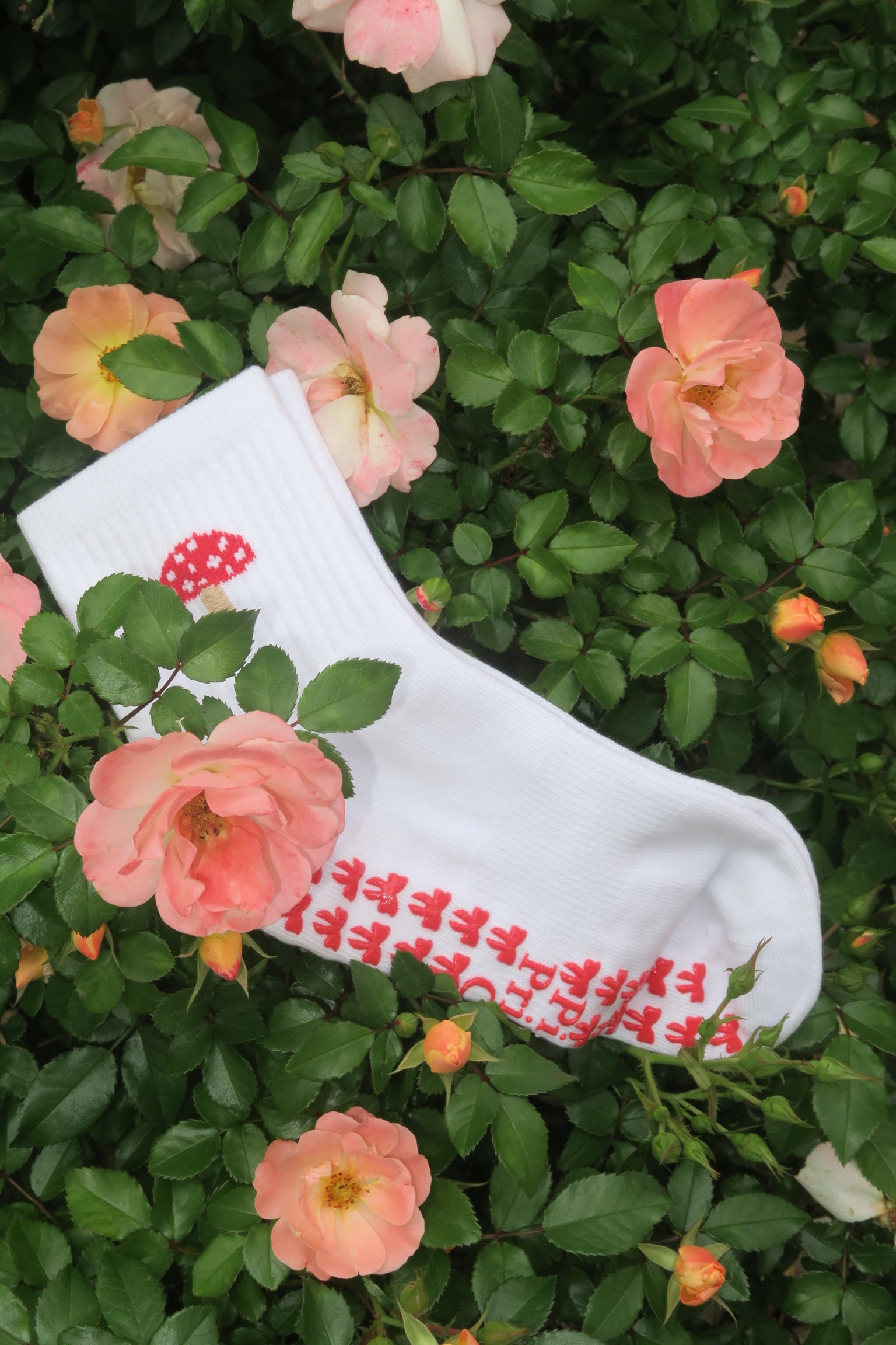 Mushroom Garden Grip Socks